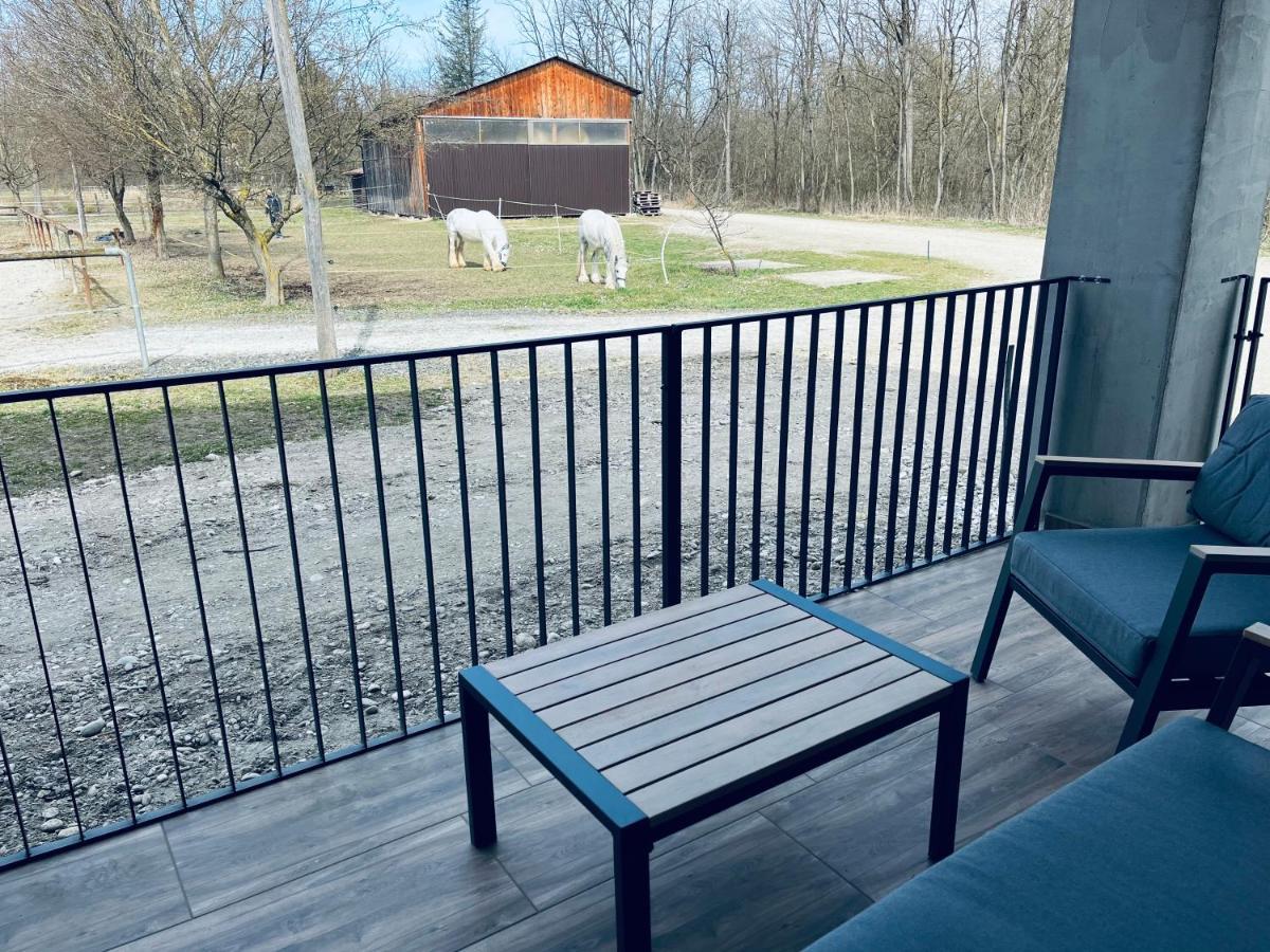 Apartment Country House Zaton Tisina Exterior photo